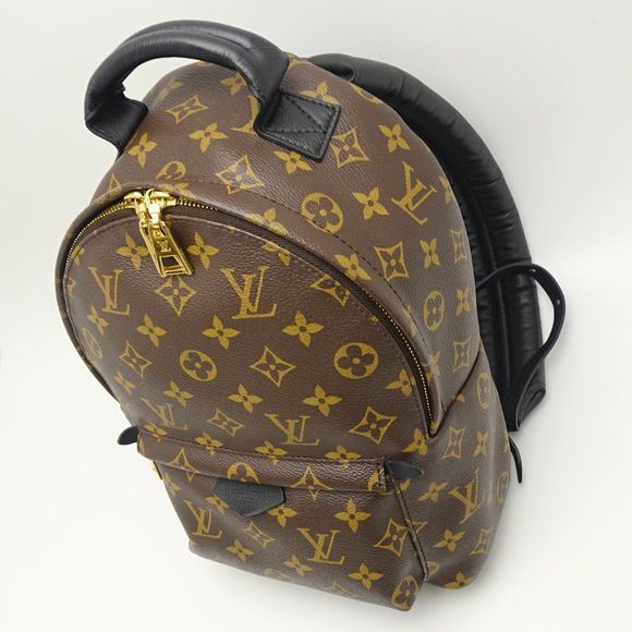 Louis Vuitton Monogram Palm Springs Backpack PM Brown Rucksack - Picture 5 of 8
